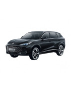 MG MG HS du 09/2018 au 12/2024